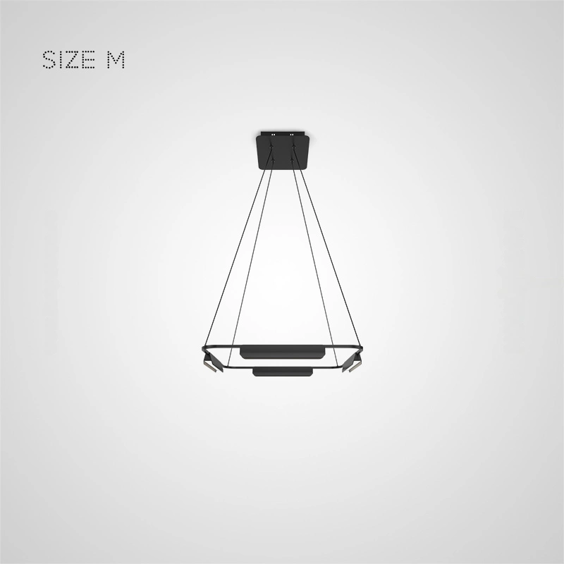 Кольцевые люстры и светильники LAGE Ring chandelier