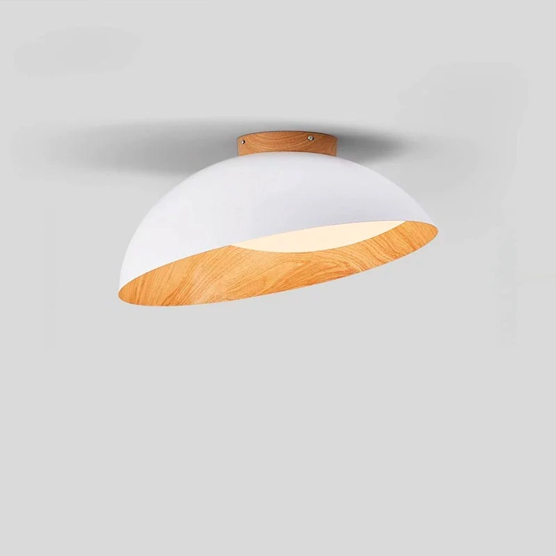Потолочный светильник EDVIN Ceiling light