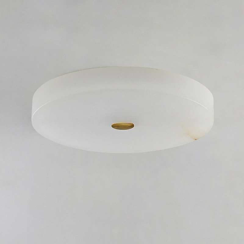 Потолочный светильник SALENA