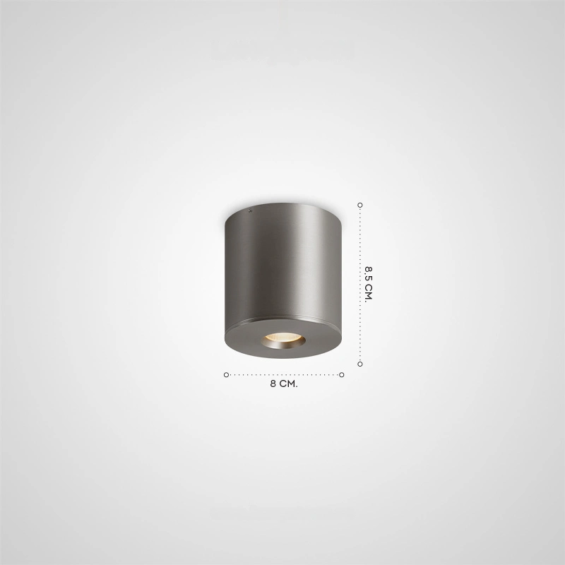 Потолочный светильник DANKVART Ceiling light