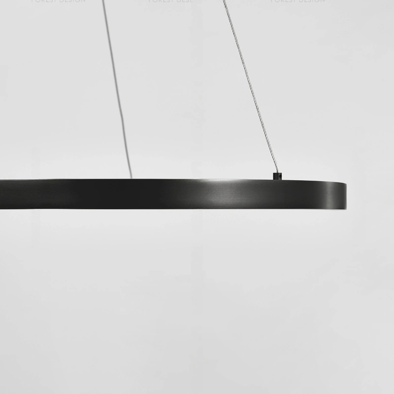 Кольцевые люстры и светильники ZELMER Ring chandelier