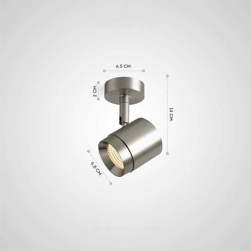 Потолочный светильник GERARD Ceiling light