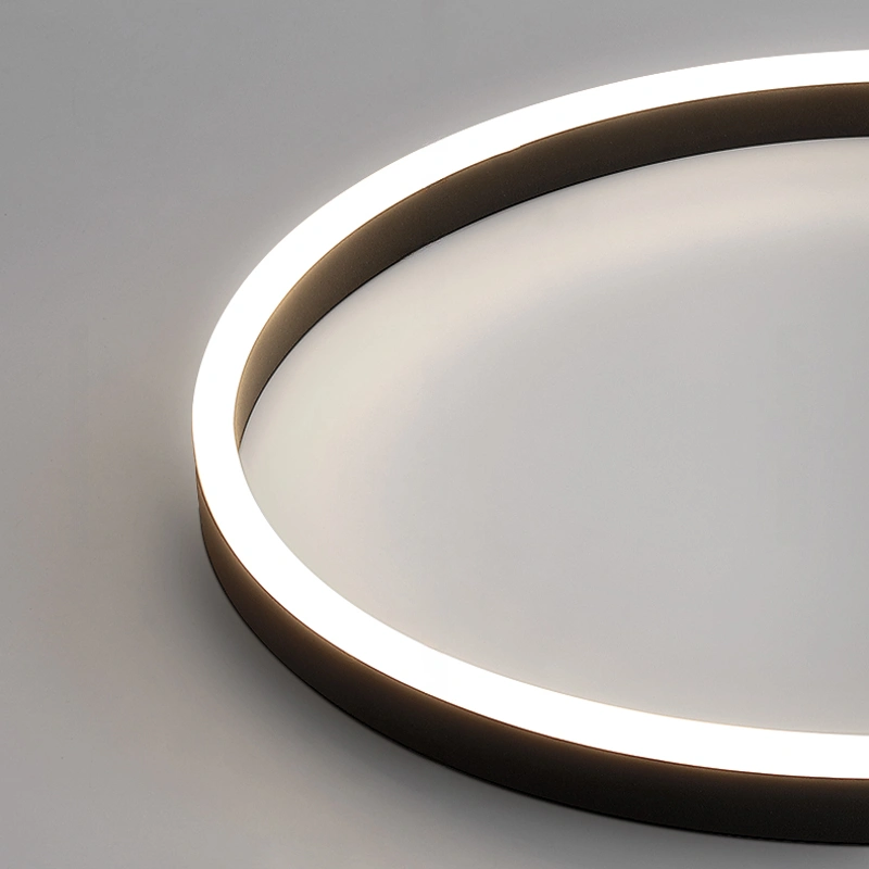 Потолочный светильник MONET