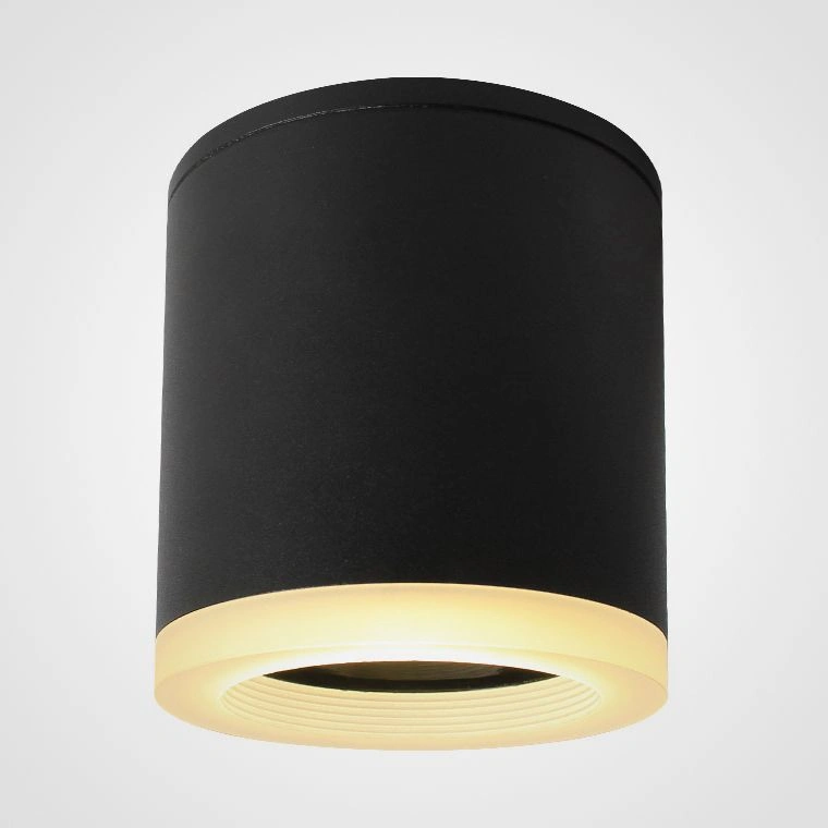 Цвет черный. Мощность 7W.