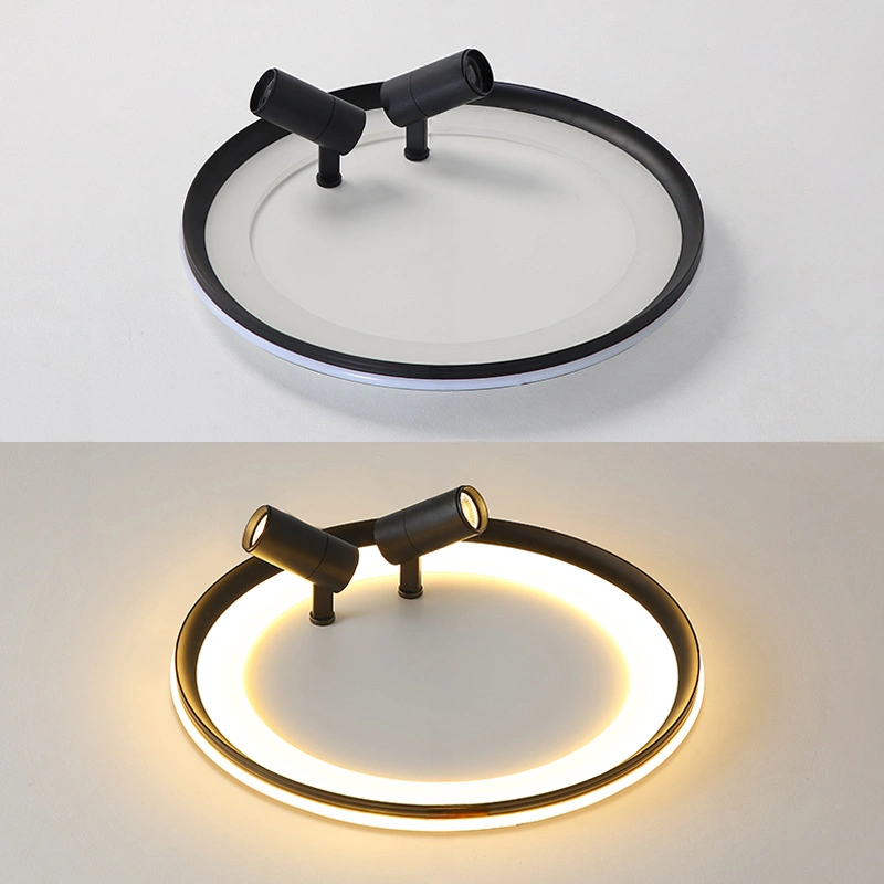 Потолочный светильник GARB