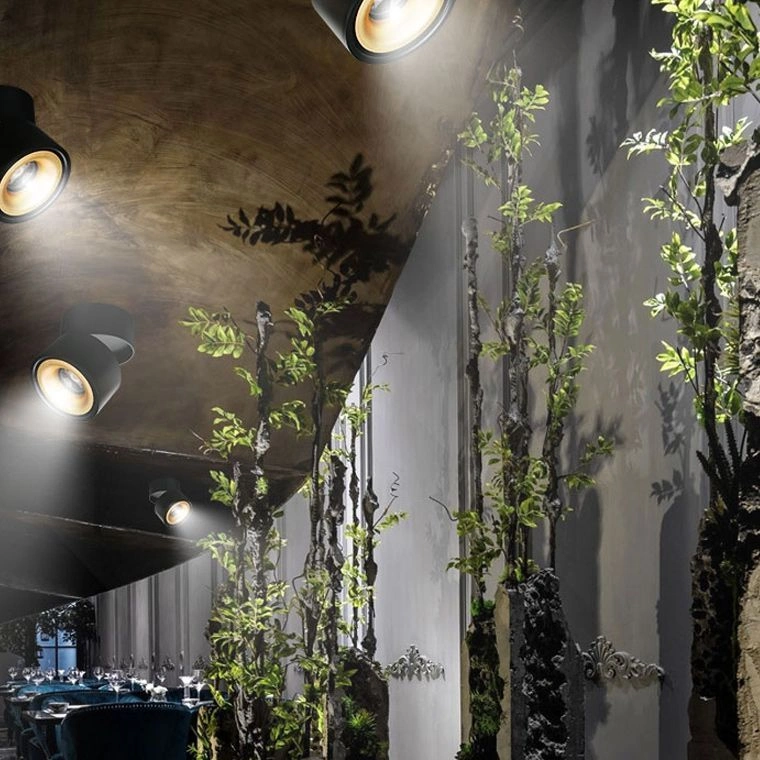 Точечный свет AGENDA