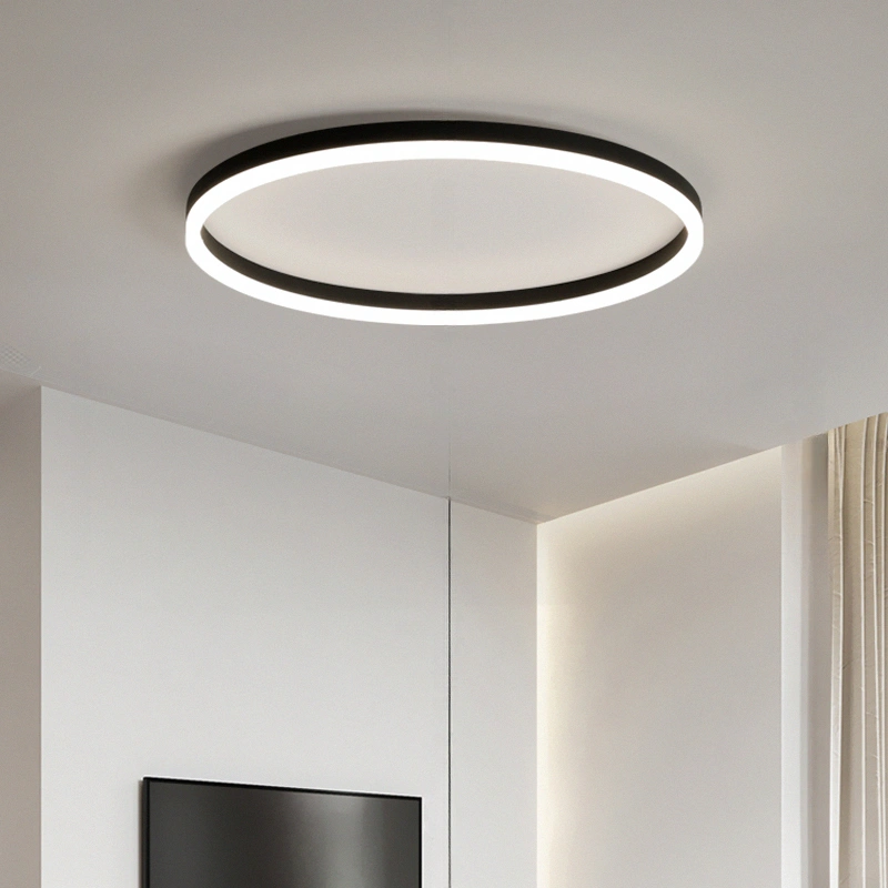 Потолочный светильник MONET