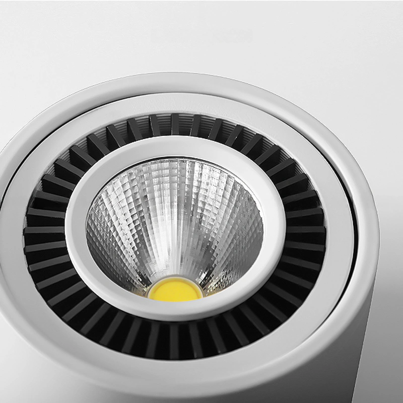 Точечный свет PASS