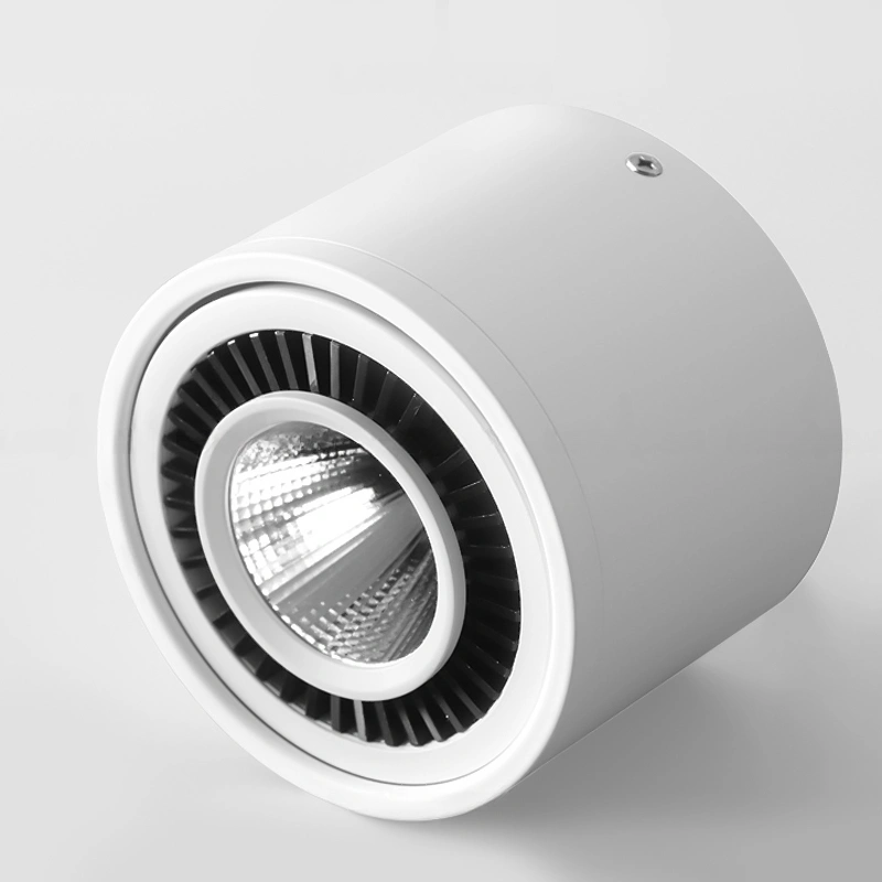 Точечный свет PASS