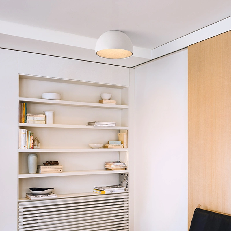 Потолочный светильник BARA