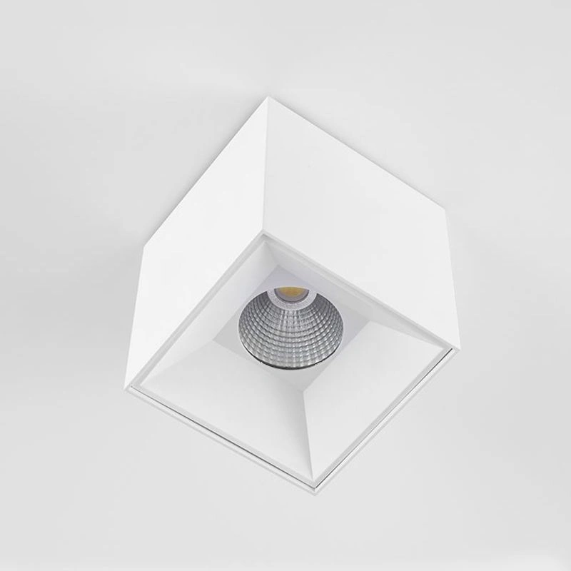 Точечный свет TORE Spot light