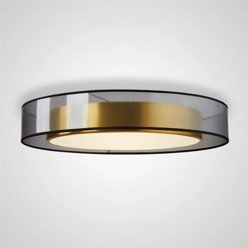 Потолочный светильник DANICA