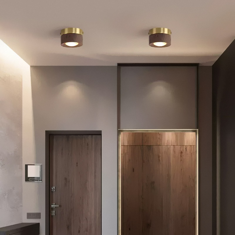 Точечный свет WOODSPOT DARK