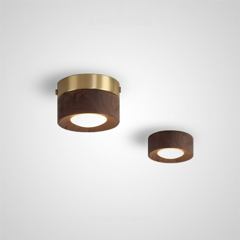 Точечный свет WOODSPOT DARK