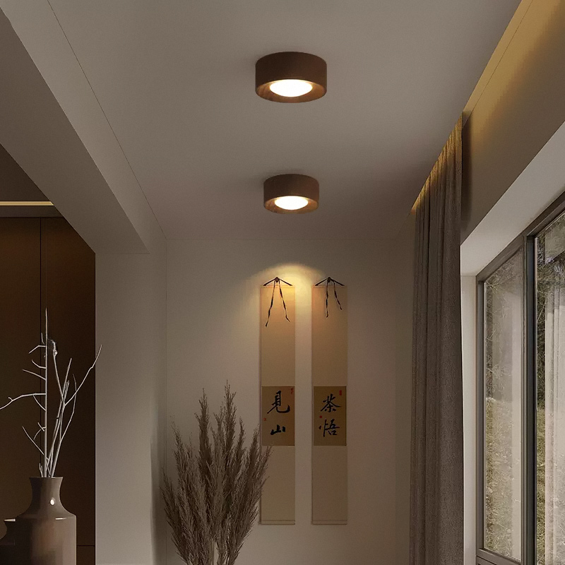 Точечный свет WOODSPOT DARK